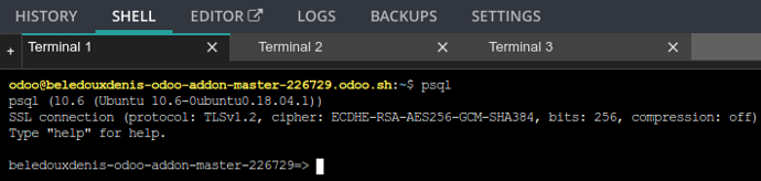 Shell-Tab Shell access to your container. You can perform basic Linux command (ls, top) and open a shell on your database by typing psql.